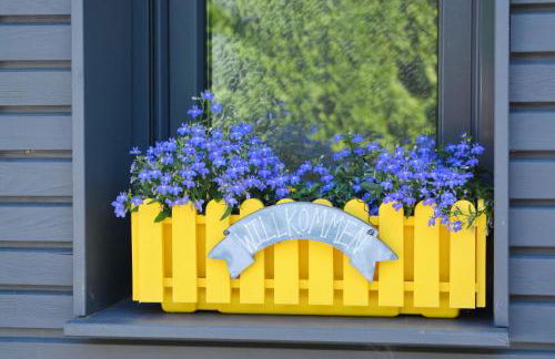 TraumBlick - Foto 19