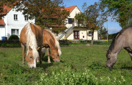 Ferienwohnung mit Terrasse in Kropelin - Foto 34