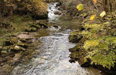 La Molnera - Foto 15