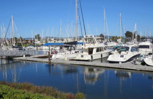 Garden Level Flat in 1885 Queen Anne Victorian Cottage in Alameda - Foto 55