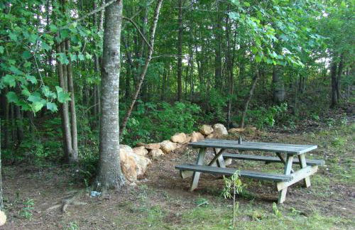 The Chapman House - Foto 10