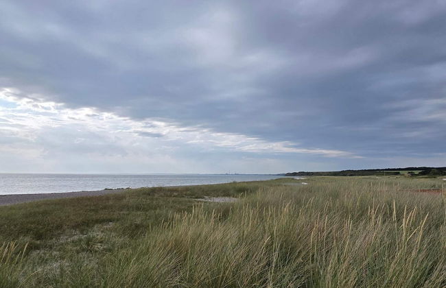 Idyllic Holiday Home in Store Fuglede near Forest - Foto 24