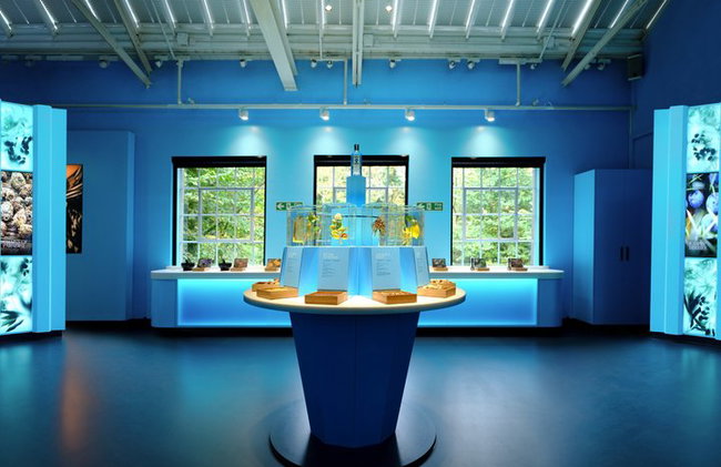 Tour y clase magistral de cócteles con ginebra Bombay Sapphire - Foto 6