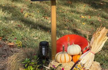 Winding Creek Cabin - Photo 54