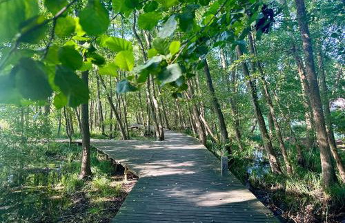 Dom nad jeziorem Miedwie, Zieleniewo - Foto 48