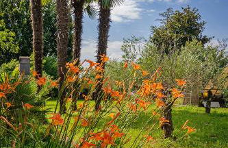 Agriturismo Villa Serena - Photo 26