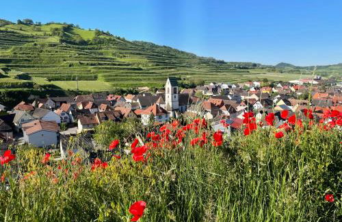 Weingut & Straußwirtschaft Vogel - Foto 25
