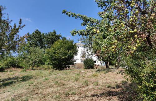 Casa Martin , 4 bedroom villa - Foto 17