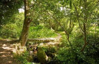 Longère Bretonne près du GR34 - Foto 27