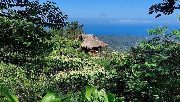 Taorayiná nature reserve - Foto 2, Habitación