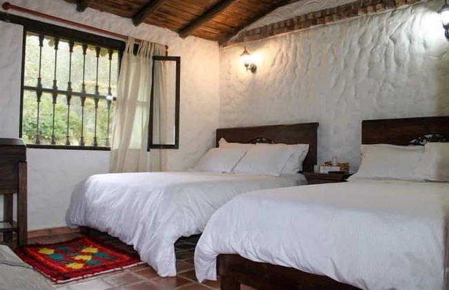 Villa Eucalyptus - Foto 5