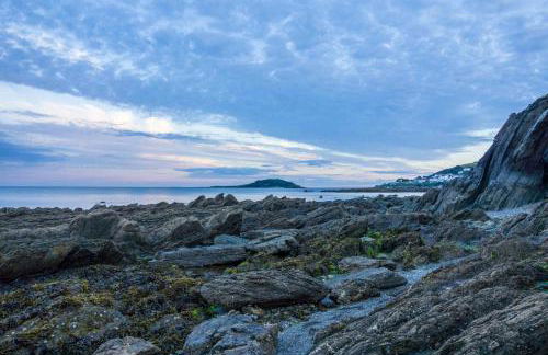 Sand Martin - Foto 20