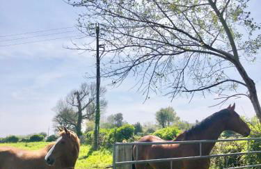 La Gervaiserie - 300m de la plage - Foto 24