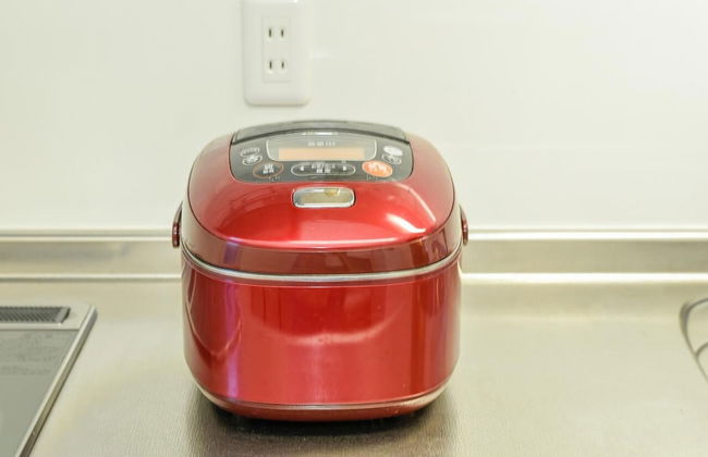 Maison de Ieyasu - Photo 18