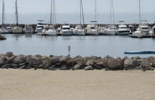 Horte neuve - Foto 55