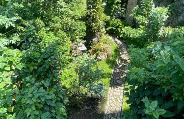 Muito espaço e natureza no meio da cidade - Foto 45