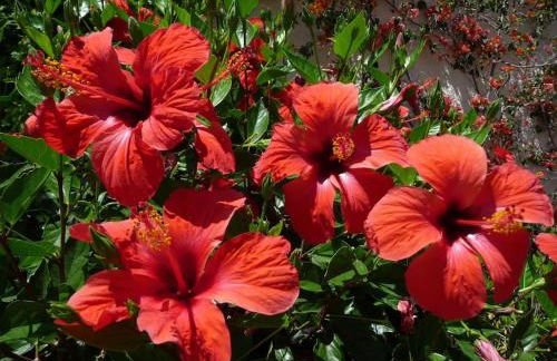 La Molina Del Olivar - Peaceful Location - Foto 42