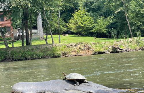 Eagle Mountain River Retreat - Foto 71