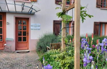 Les Chanterelles La souris des champs - Foto 65