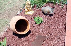 Villa House of William - Foto 23