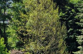 Ferienwohnung in Wilnsdorf OT Wilden neu erstellt & hochwertig - Foto 32