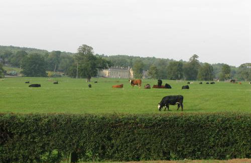 Moo Cow Cottage Self Catering - Photo 2