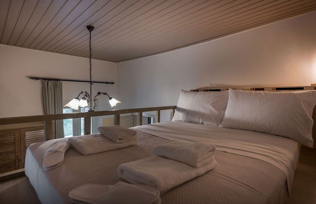 Iosif De Home - Foto 4