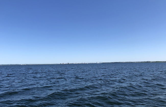 Ostseemuschel - Foto 20