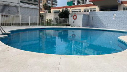 Delfín verde - Foto 2