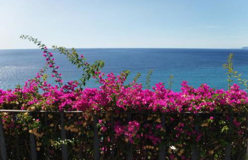 Villa Eliodora - due appartamenti - Foto 50