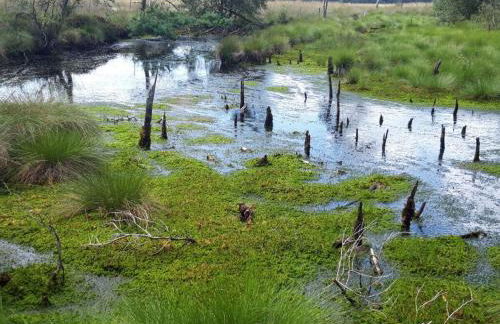 Apartment at the Eichenpark - Foto 26
