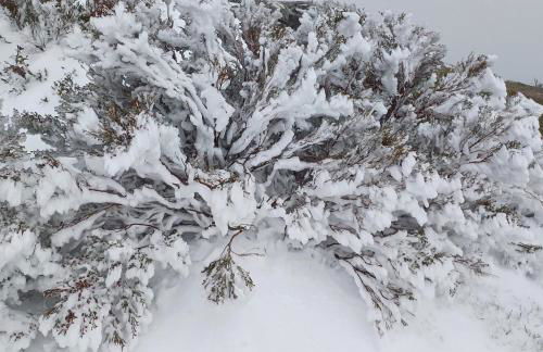 Casa do Loureiro - Foto 22