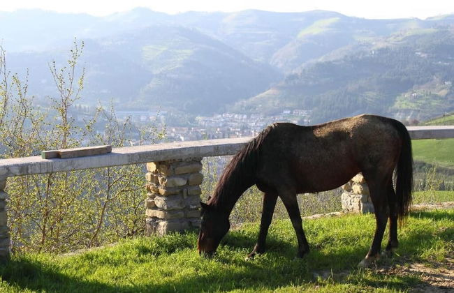 Re Piano appartamento Le Colline - Foto 41