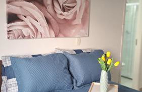 Tulipa - Foto 6
