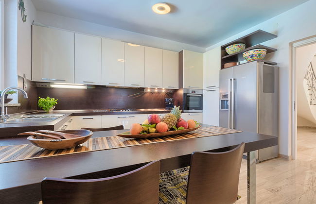 Salamander - Foto 13