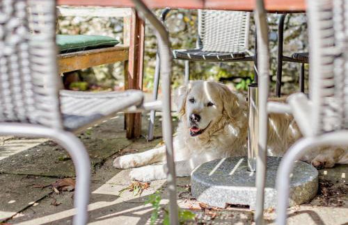 4 Bed in Icklesham oc-bt067 - Foto 28