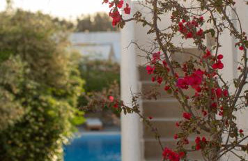 Andromeda Residence - Foto 32