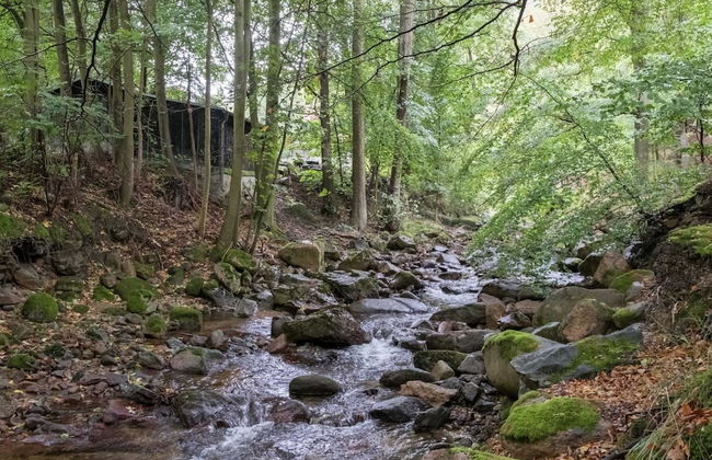 Ferienwohnung im Herzen Ilsenburgs - Foto 33