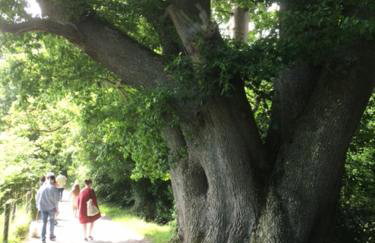Crotlieve Barn - Photo 37