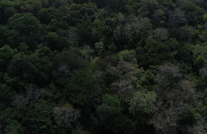 Villa Estrella Pavones - Foto 60