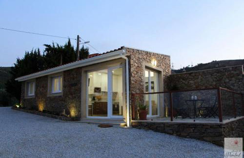 Quinta do Pombal - Douro - Camila's - Foto 8