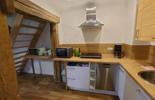 Apartment 6 Zum Kuhstall Heinrichsberg - Magdeburg - Foto 24