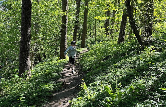 Guest Apartment Österlen Near Tosselilla & Golf Course - Foto 76