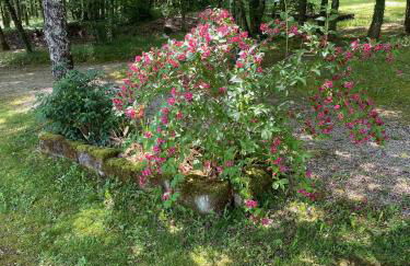 Gîte les chênes verts - Périgord noir proche grottes de Lascaux - Foto 42