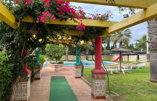 APCOSTAS - San Antonio - Foto 121