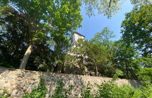 Lake Side Park/Historic/BER/THF - Foto 31