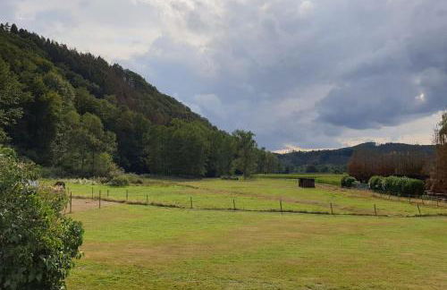 Ferienwohnung Siegaue - Foto 24