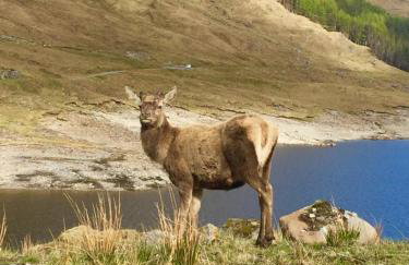 Torgoyle Cottage - Foto 32