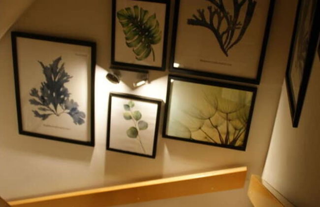 Reethus Star Kicker - Photo 5