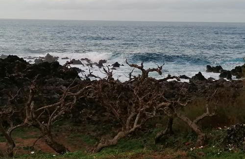 A Casa da Formosinha - Photo 43